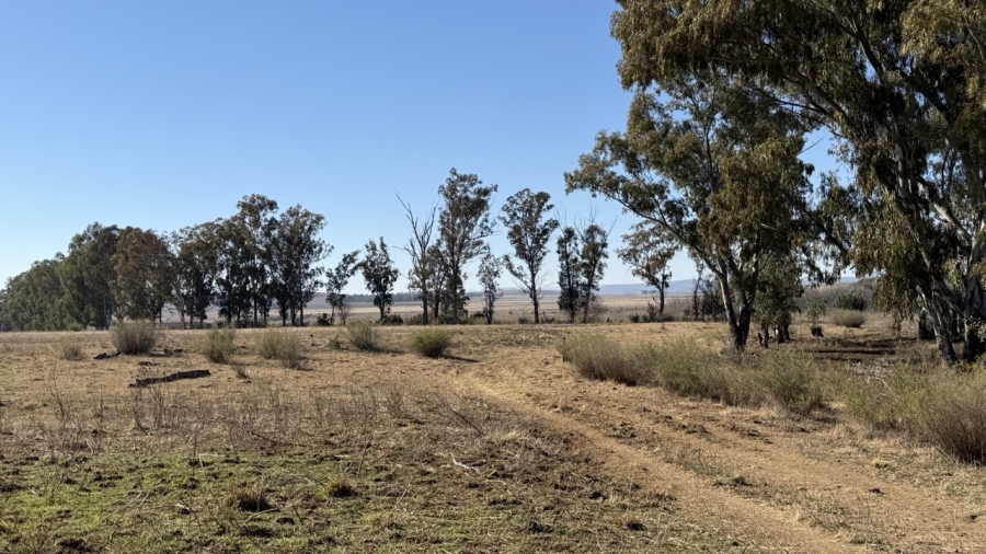 Commercial Property for Sale in Senekal Free State